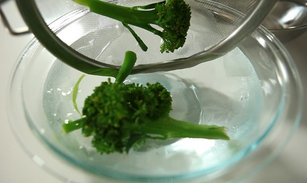 Dicas de congelamento