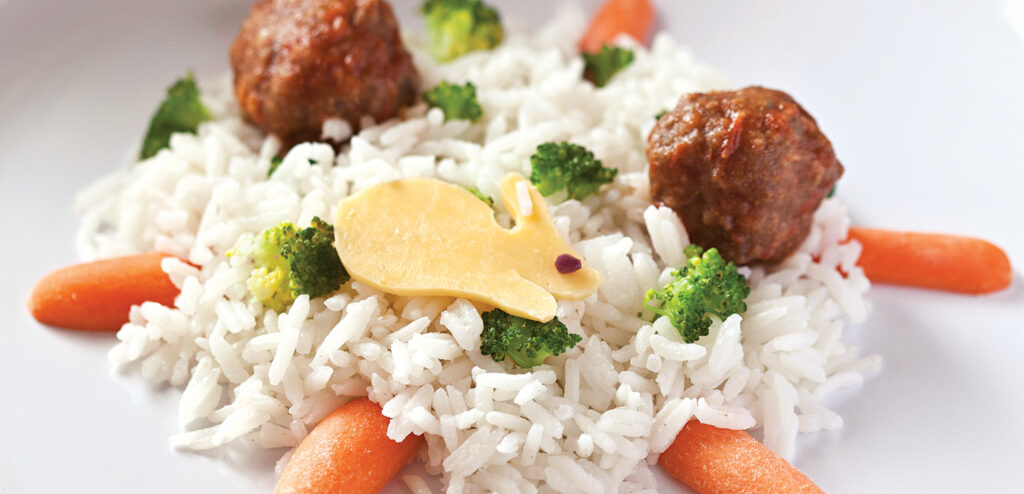 ARROZ COM ALMÔNDEGAS (FLORESTA ENCANTADA)