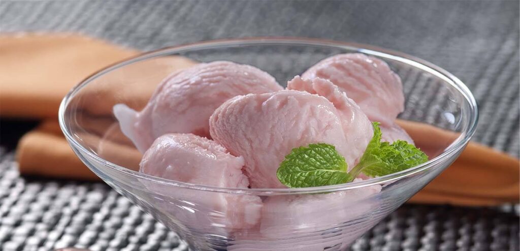 FROZEN IOGURTE DE MELANCIA
