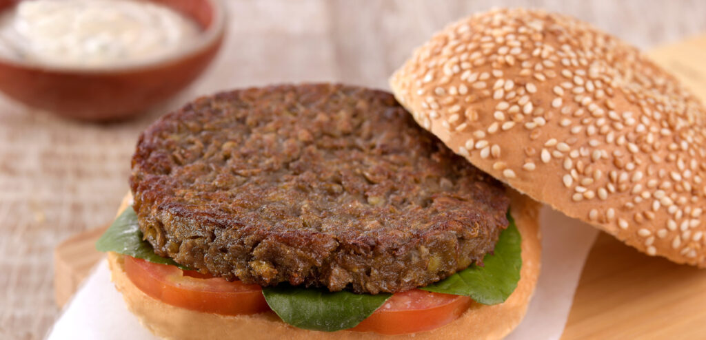 HAMBÚRGUER DE LENTILHA