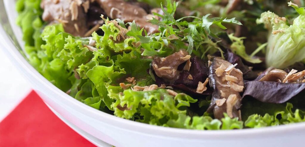 SALADA DE FOLHAS COM COGUMELOS