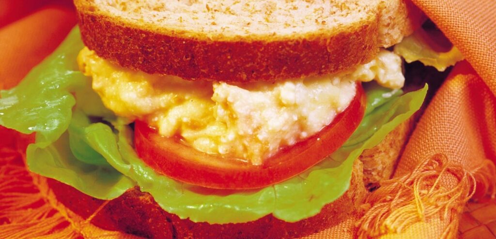 SAUDÁVEL SANDUÍCHE