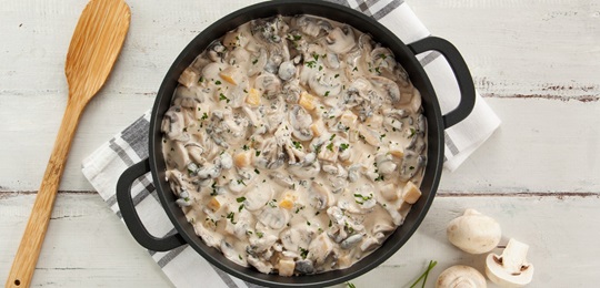 Receitas para quem ama Estrogonofe