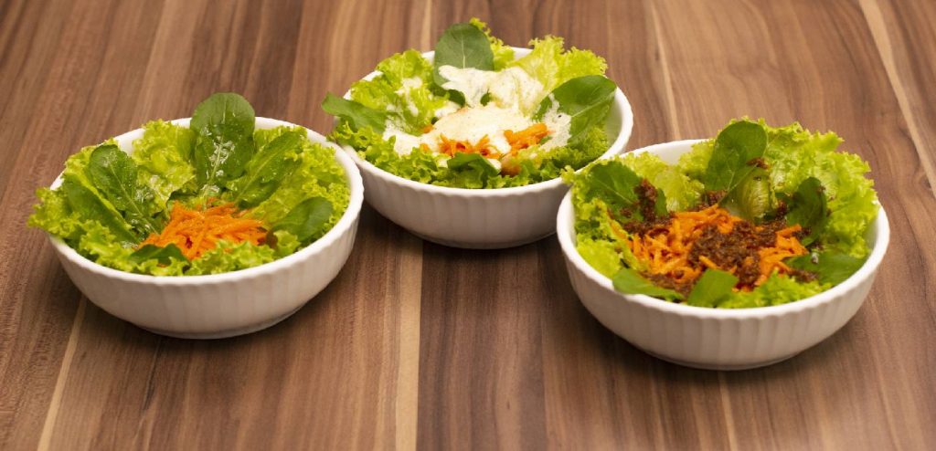 MOLHOS PARA SALADAS